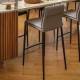 Calligaris Carmen Bar Stool